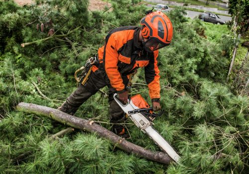 Unrecognizable lumberjack with chainsaw cutting tree branches in town.